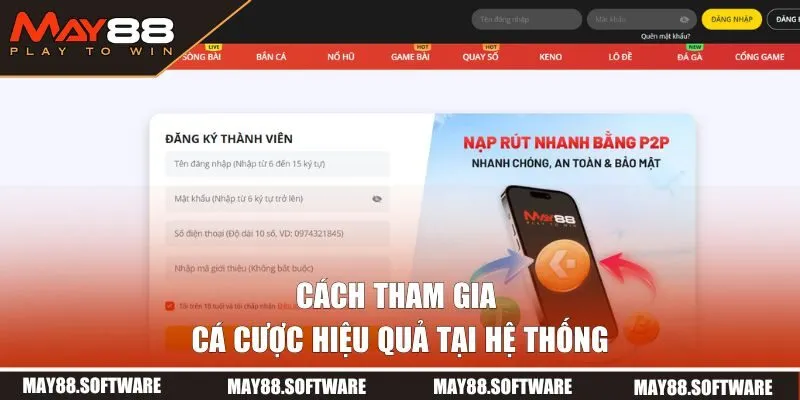 Cách tham gia cá cược hiệu quả tại hệ thống