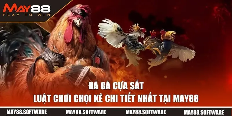 đá gà cựa sắt