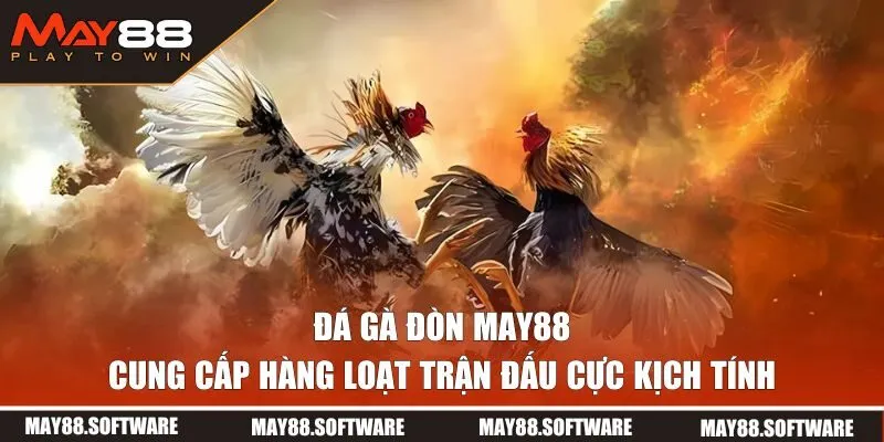 đá gà đòn