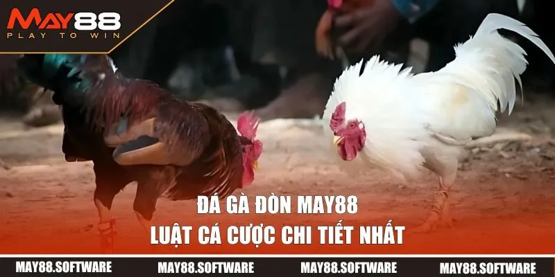 Luật cá cược chi tiết nhất