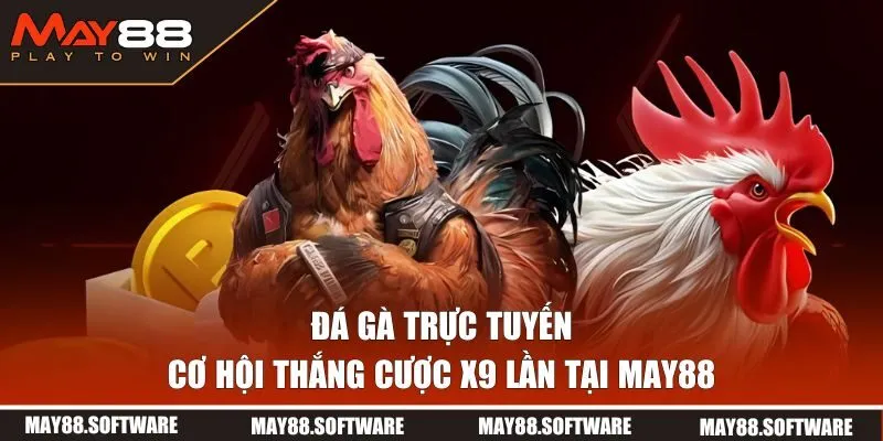 Đá Gà Trực Tuyến