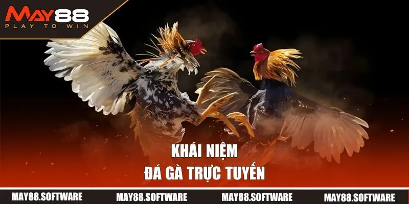 Đá gà trực tuyến là gì?