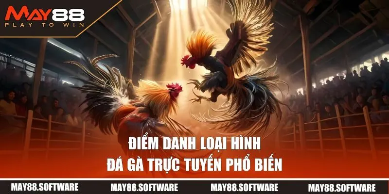 3 loại hình chọi gà phổ biến
