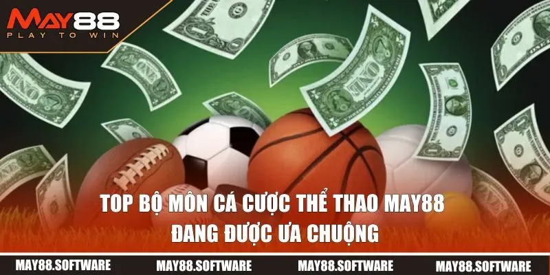 Top bộ môn cá cược thể thao đang được ưa chuộng