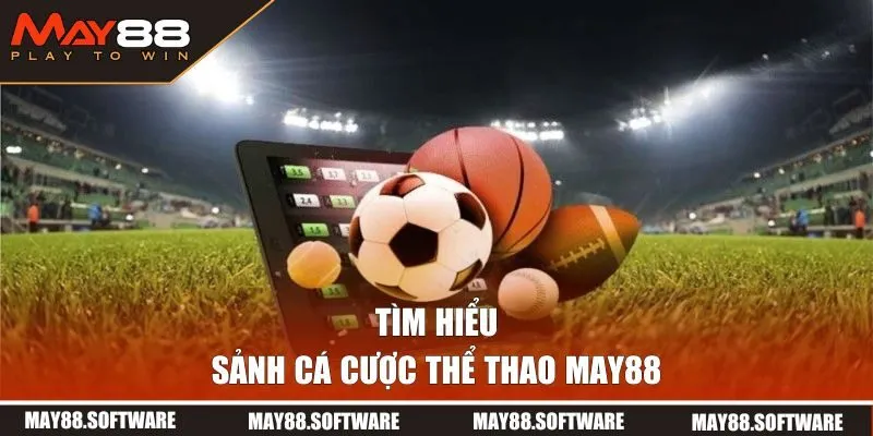 Tìm hiểu về sảnh cá cược thể thao MAY88